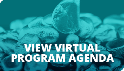View Virtual Program Agenda
